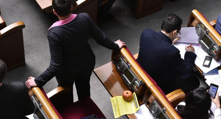 В Раду на голосование Савченко пришла с гранатом