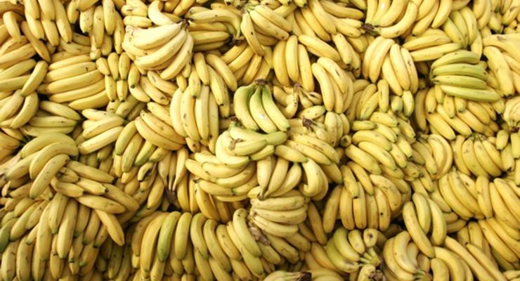 В Нидерландах обнаружили полторы тонны кокаина в грузе с бананами