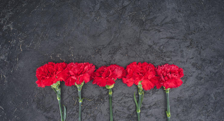 Дочь топ-чиновников разбросала цветы, возложенные к могилам солдат