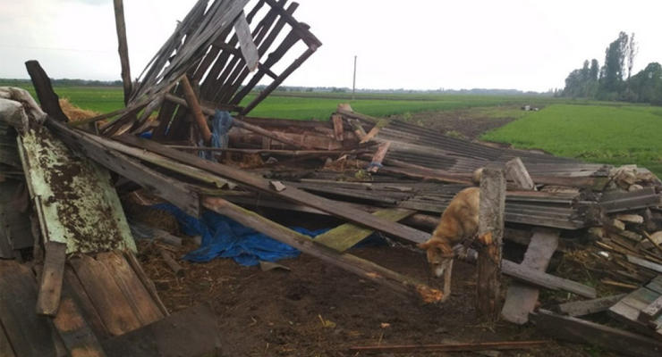 Под Житомиром смерч сорвал крыши с десятков домов