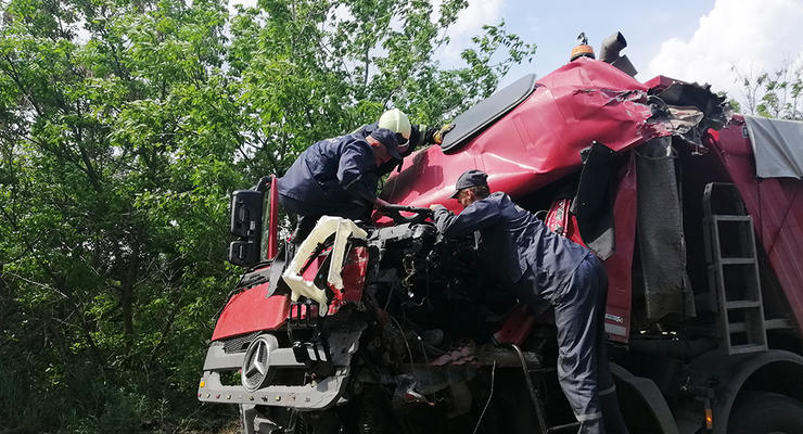 В Николаевской области лоб в лоб столкнулись два грузовика