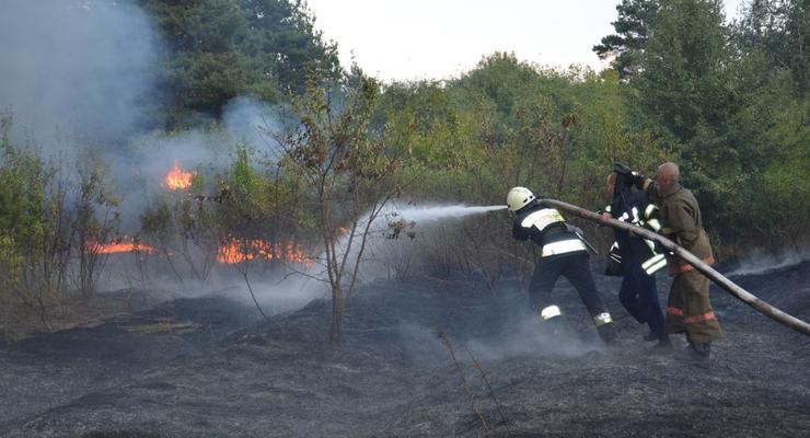 В четырех районах Киева проходят учения спасателей по ликвидации лесных пожаров