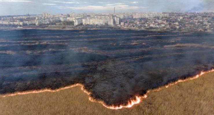 Масштаб пожаров в плавнях бьет рекорды: Под Херсоном сгорел остров