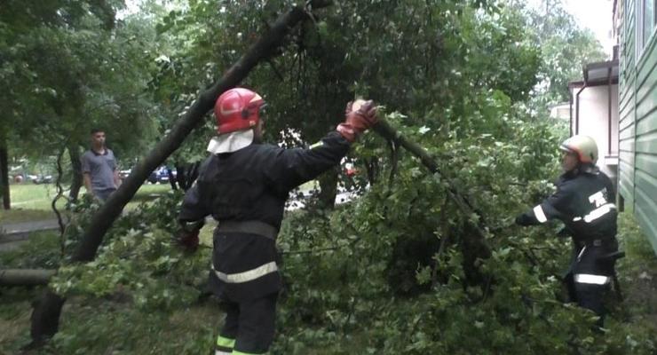 На Херсонщине ветер повалил 50 деревьев в селе, повреждена школа