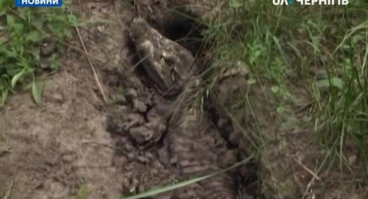 В селе Черниговской области нашли мертвого крокодила