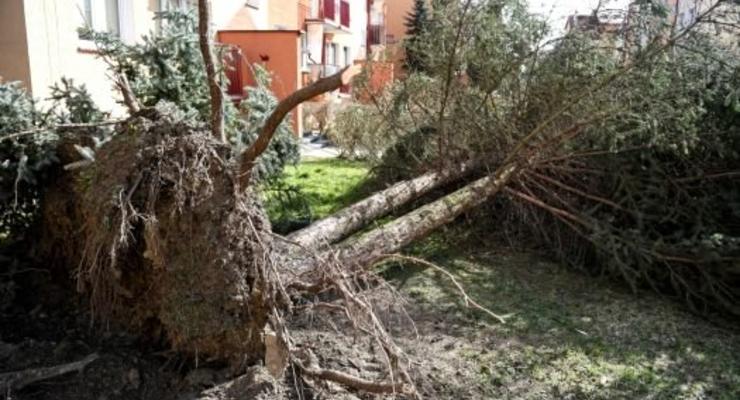 В Польше из-за ураганов без света остались более 11 тысяч домохозяйств