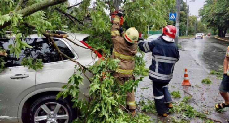 Непогода в Киеве: Деревья рухнули на 15 авто, двое людей травмированы