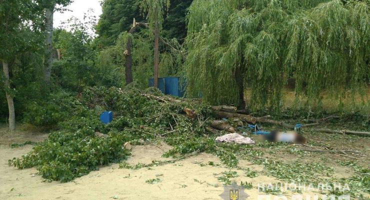 На Харьковщине дерево упало на отдыхающих, есть жертвы