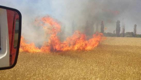 Под Николаевом с разницей в полчаса загорелись сразу два поля с пшеницей
