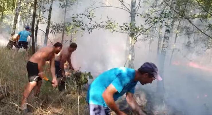 Украинцы помогли потушить лесной пожар в Польше