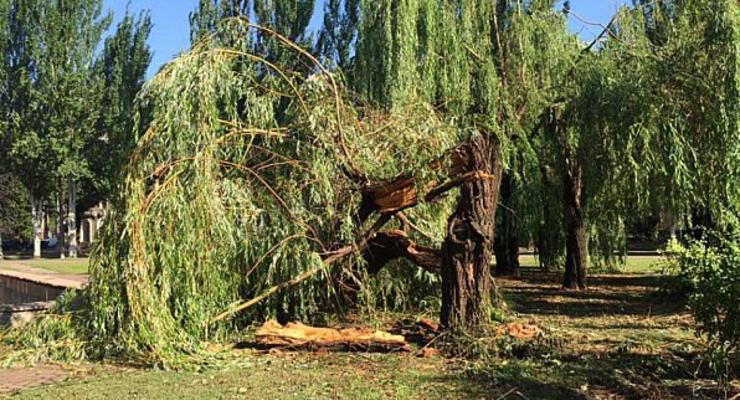 В Кривом Роге ураган повалил более 150 деревьев: Повреждены 76 авто