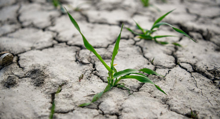 В Литве объявили режим ЧП из-за засухи