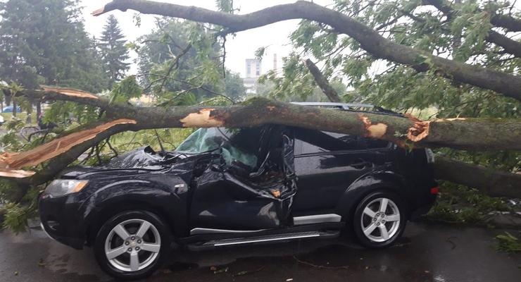 На Львовщине дерево упало на авто: двое пострадавших