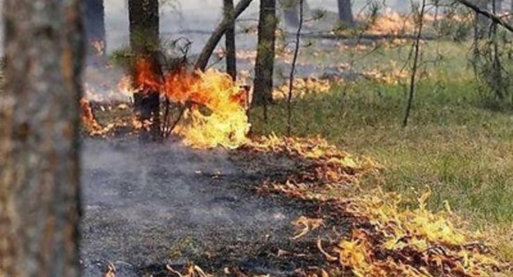 ГСЧС объявила чрезвычайный уровень пожароопасности