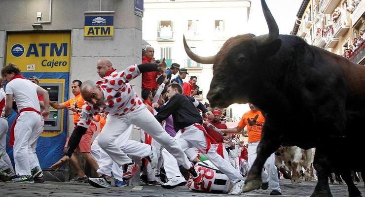 В Испании на забеге быков пострадали пять человек
