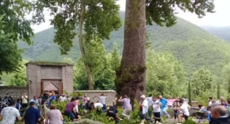Названа причина падения на туристов ветки 500-летнего дерева в Азербайджане