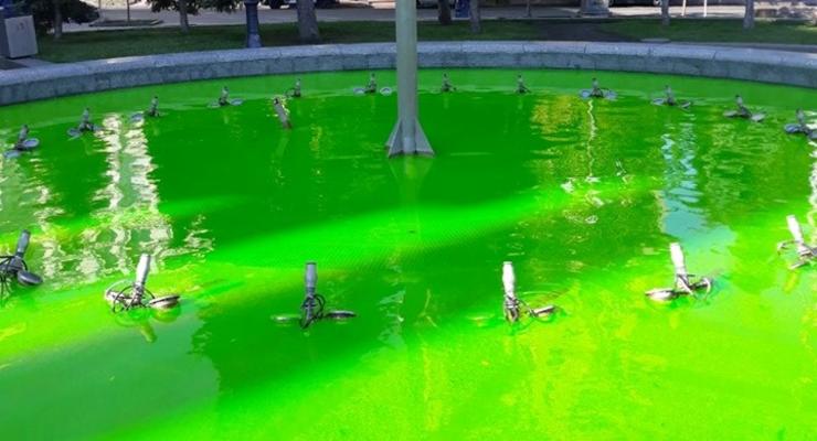В Киеве “позеленела” вода в реке и фонтане