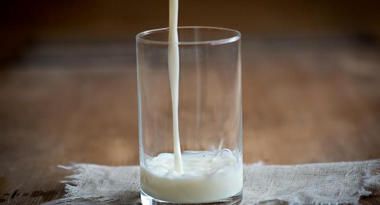 Производство молока в Украине сокращается