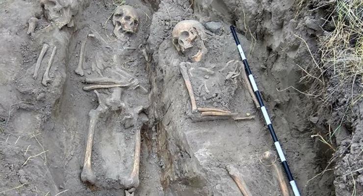 Останки людей, жестоко убитых в начале ХХ века, нашли на Житомирщине