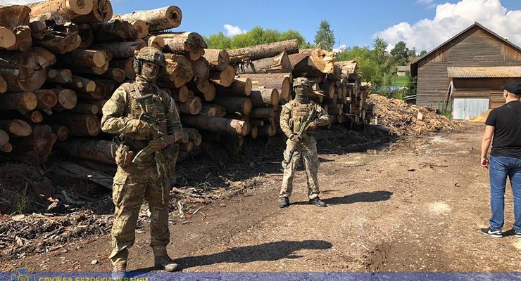 СБУ блокировала на Закарпатье масштабное хищение древесины