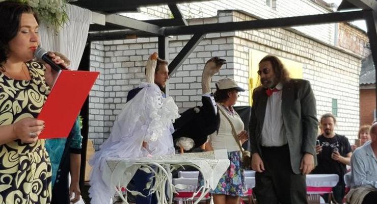 В Минске вопреки запрету властей сыграли свадьбу двух гусей
