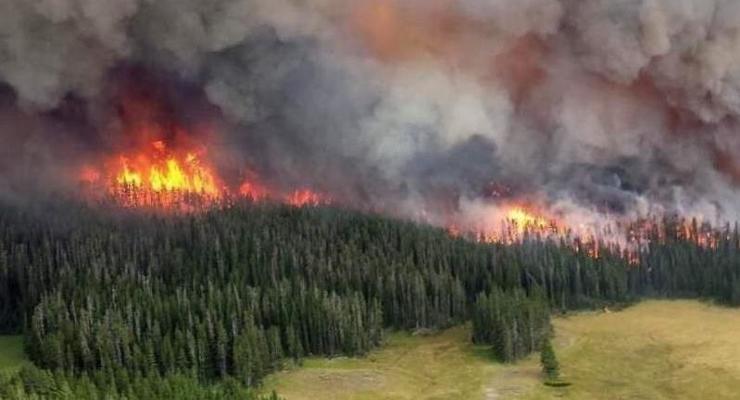 В пяти регионах России ввели режим ЧС из-за лесных пожаров