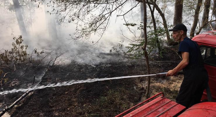 В Херсонской области горит 5 гектаров леса