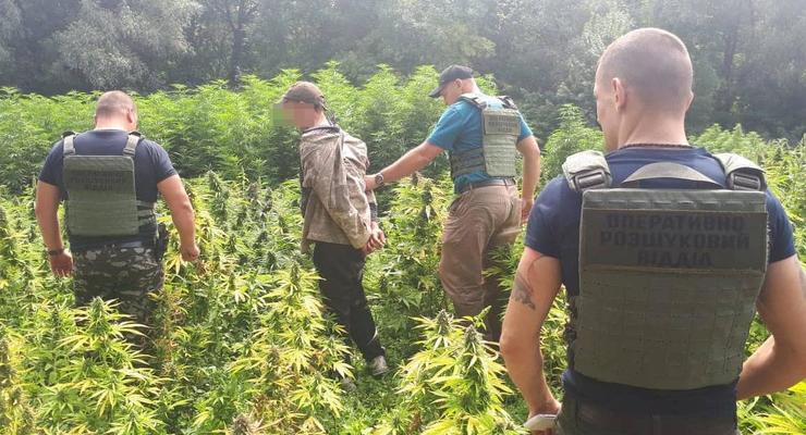 Правоохранители пресекли контрабанду наркотиков в Крым и РФ