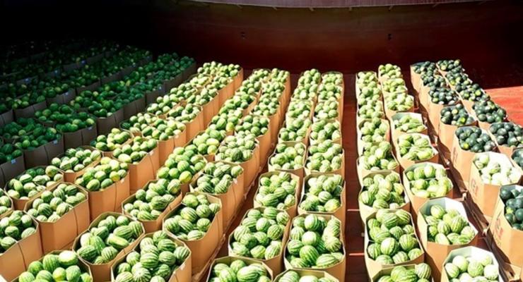 Урожай арбузов на Херсонщине вдвое выше прошлогоднего