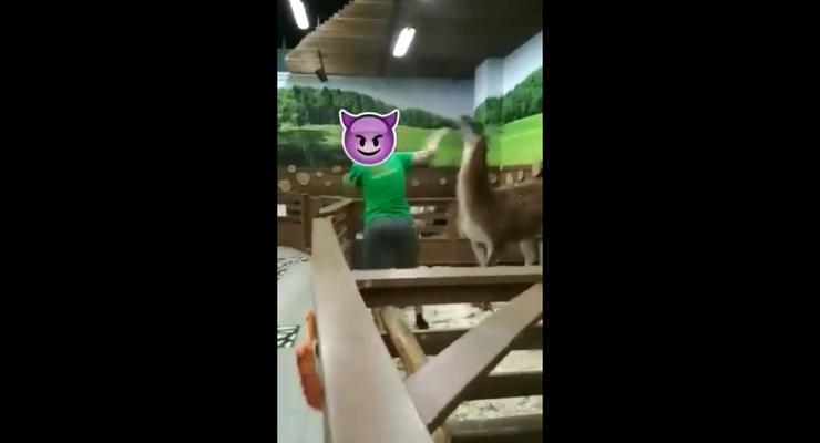 В сети появилось видео издевательств над животными в украинском зоопарке
