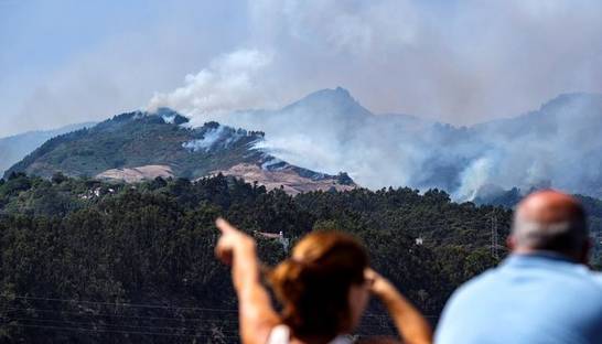 На Канарах из-за пожаров эвакуировали пять тысяч человек