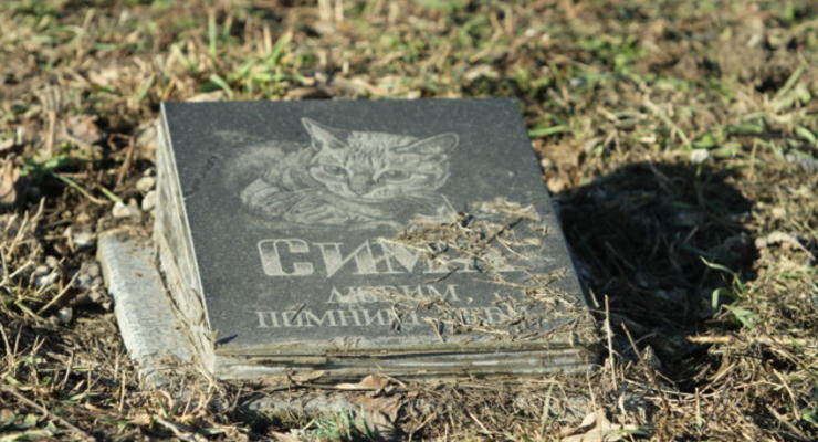 В Киеве снесут 140 могил на кладбище животных
