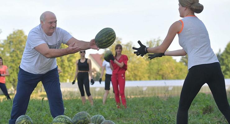 После встречи с Болтоном Лукашенко собирал арбузы с девушками