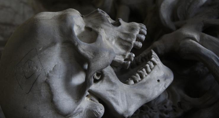 В Чугуеве женщина нашла в доме человеческие кости
