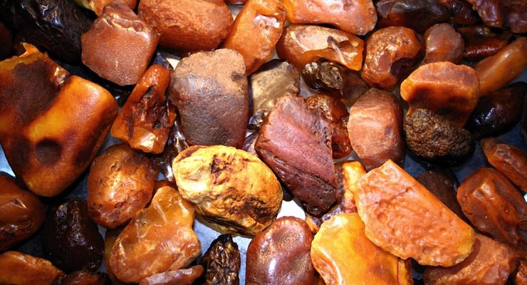 В Раду внесен президентский закон об уголовной ответственности за незаконную добычу янтаря