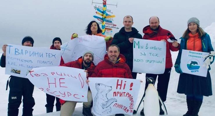 Украинские полярники провели акцию за права животных