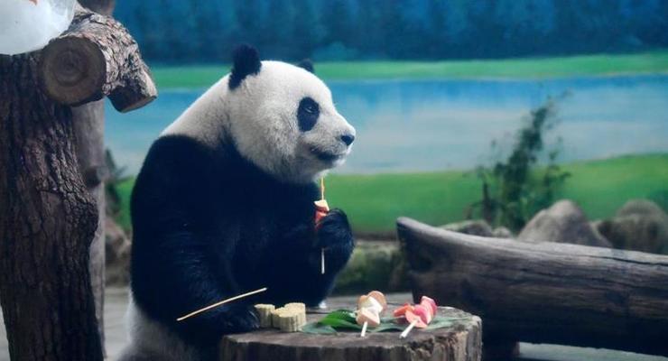 В зоопарке Тайваня панд кормили лунными пряниками