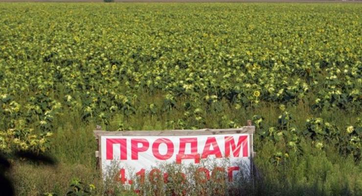 Украинскую землю запретят продавать россиянам