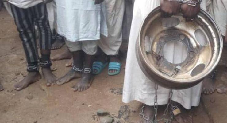 В Нигерии из школы освободили 300 учеников, подвергавшихся пыткам