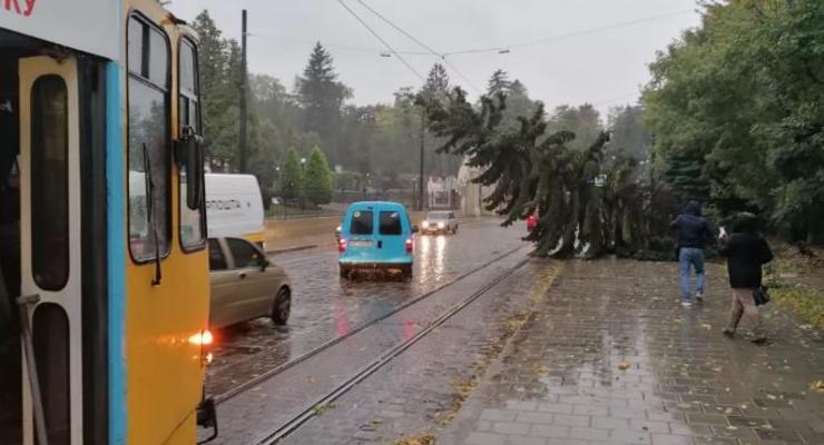 По Львову прокатился мощный ураган: Повалило деревья