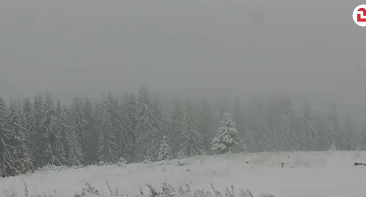 Буковель и Драгобат в снегу: Карпаты засыпало снегом