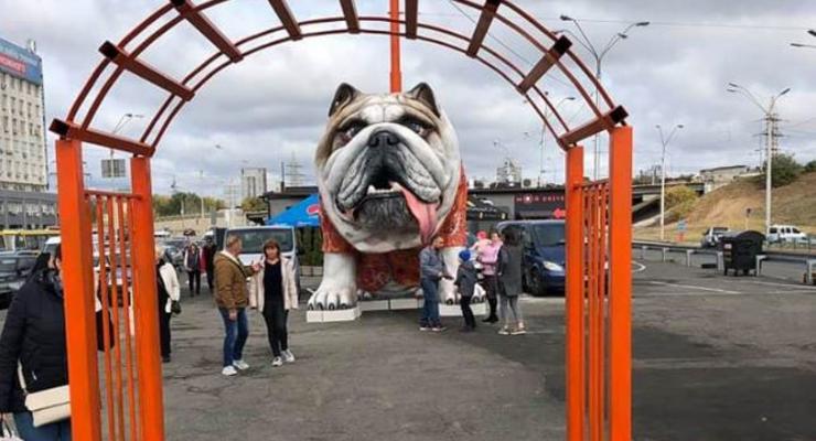 В Киеве установили пятиметровую статую собаки