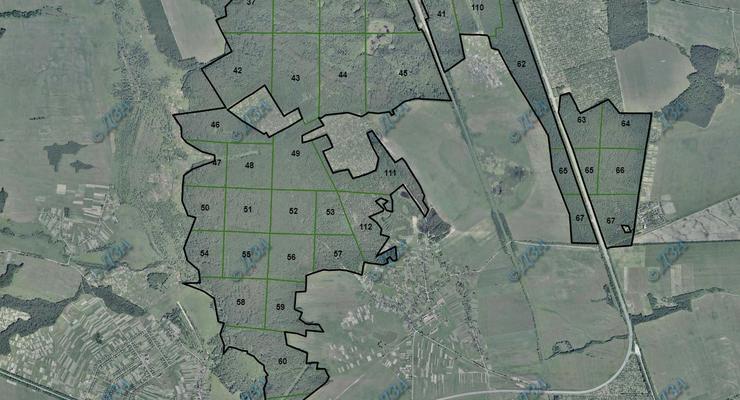 Кабмин запустил онлайн-карту вырубки лесов
