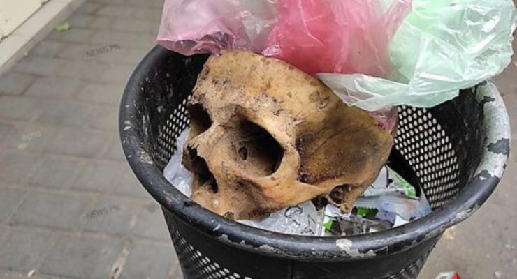 В Николаеве в мусорнике нашли человеческий череп