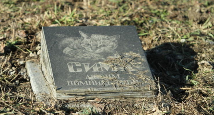 Одесские коммунальщики уничтожают могилы животных в городских парках