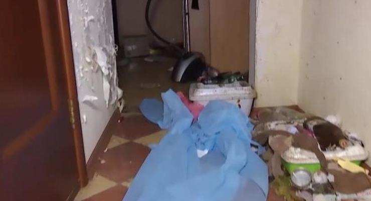 Женщина бросила 40 котов и собаку в арендованной квартире