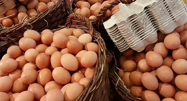 Смертельное пари: Индиец умер, пытаясь съесть 50 яиц