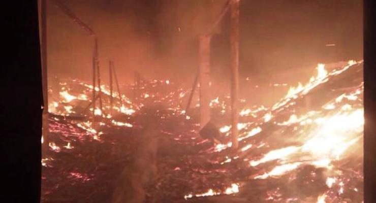 Масштабный пожар уничтожил запас семечек в Днепропетровской области