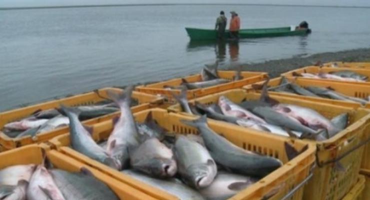 Договор с РФ о ловле рыбы подпишут дистанционно