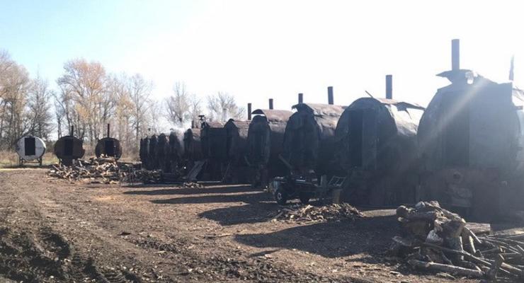 22 ОПГ нелегально производили древесный уголь под Харьковом